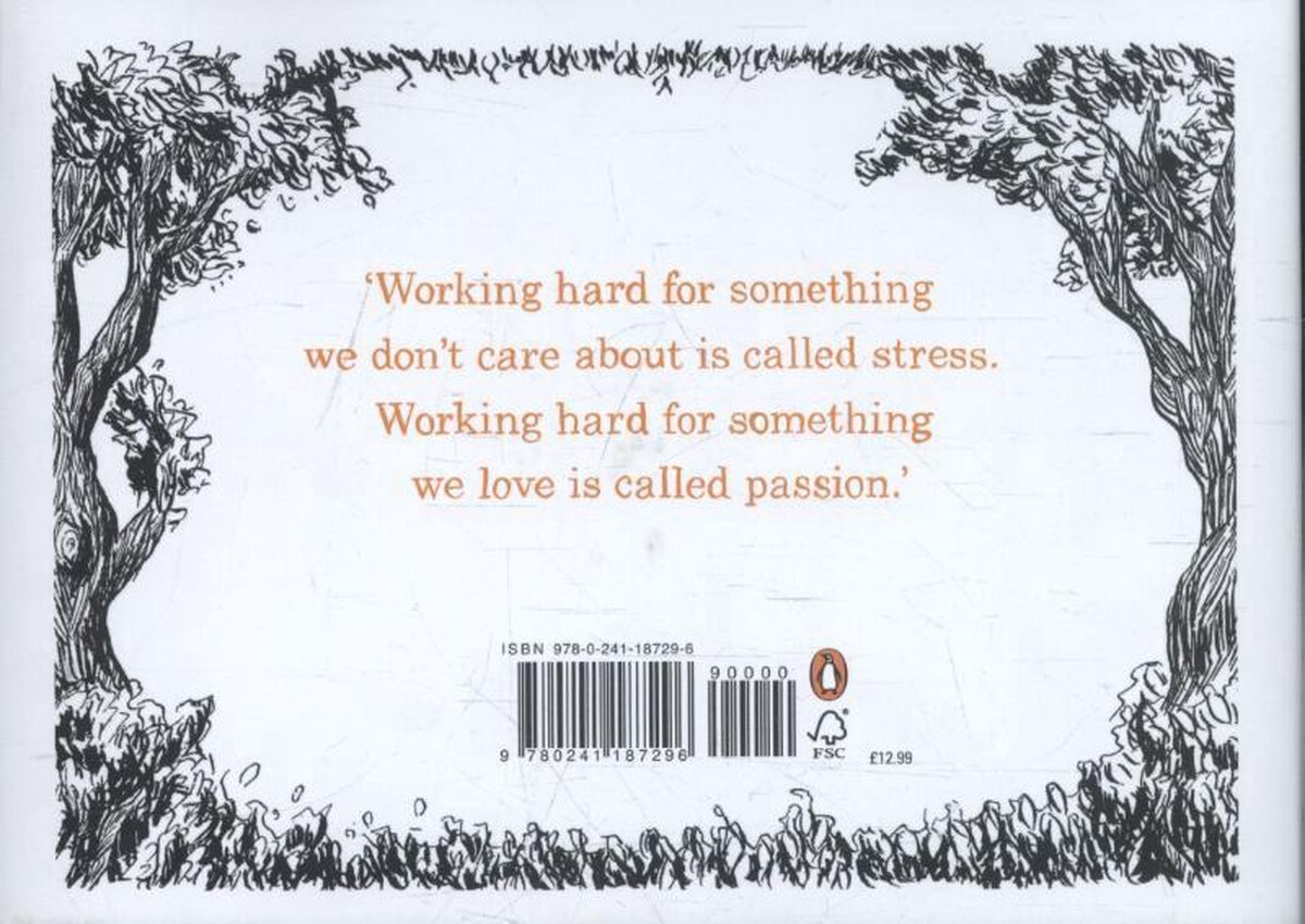 boek backcover