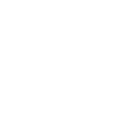 formaat logo
